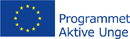 Logo of the Youth in Action Programme